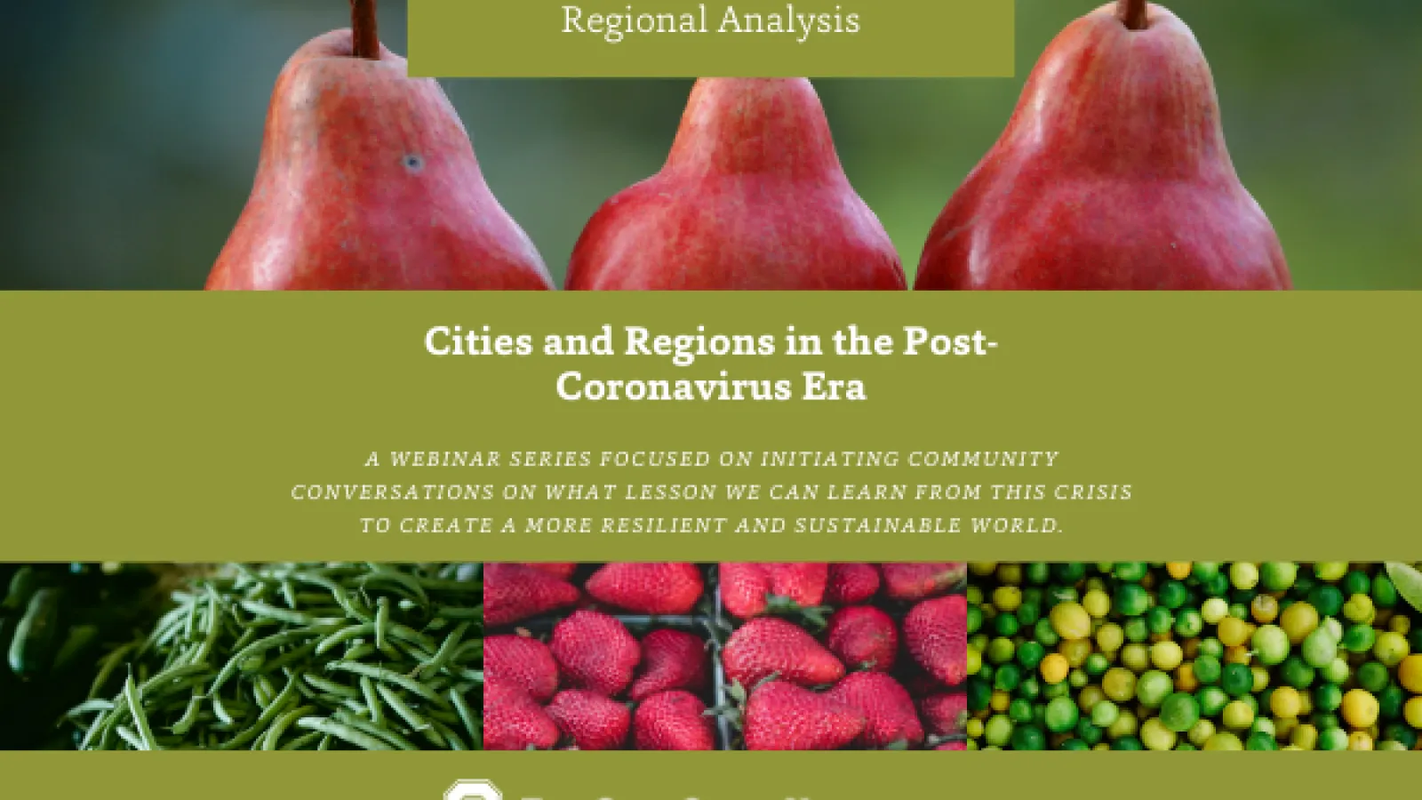 Food Security Webinar