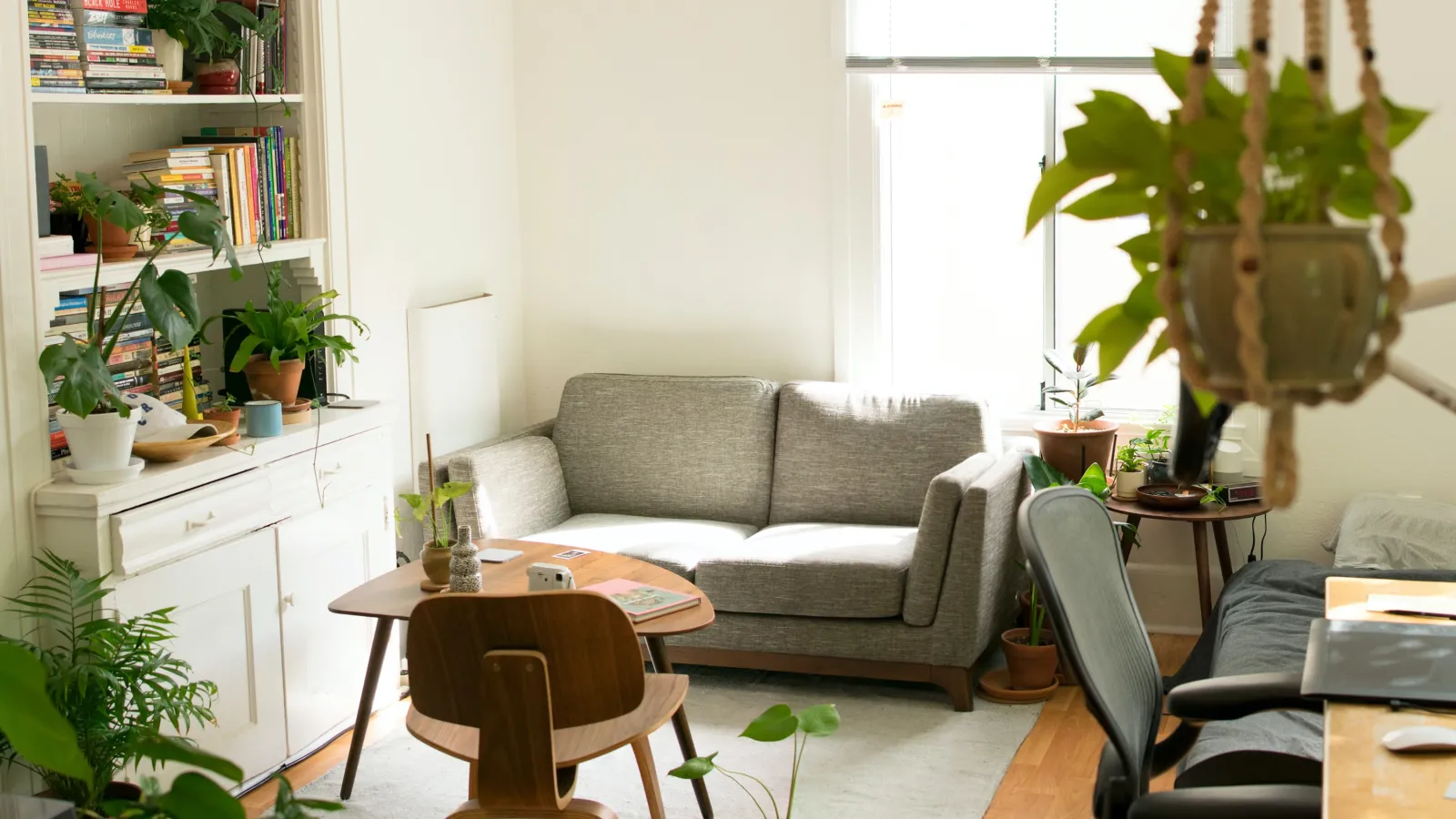 Living Room in an Apartment