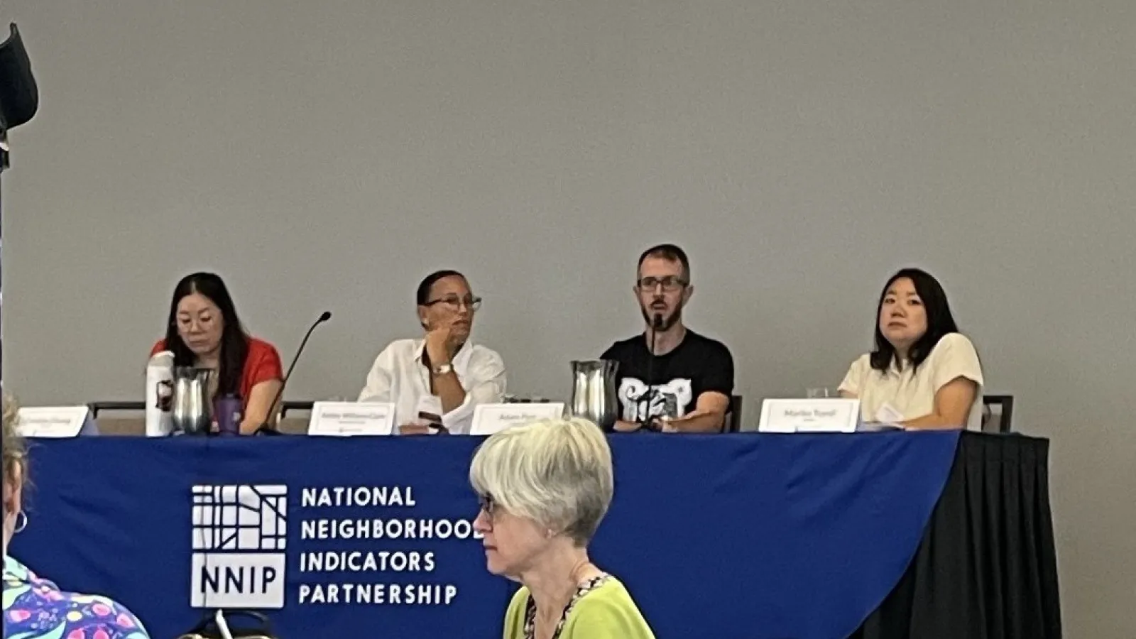 NNIP Panel