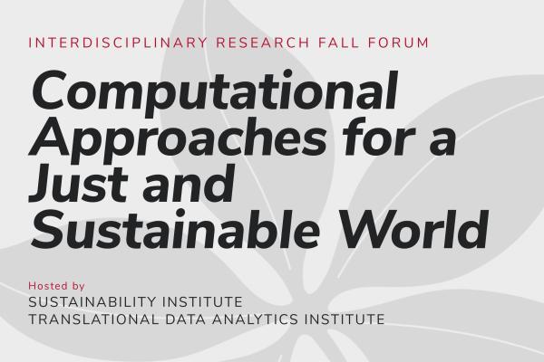 Computational Approaches for a Just and Sustainable World