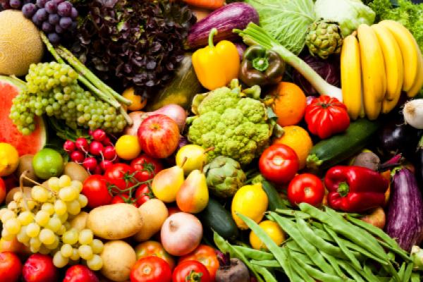 fresh food fresh food